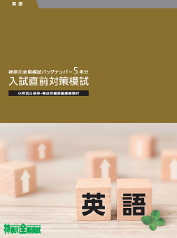 入試直前対策模試