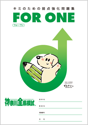 一人に一冊・弱点強化問題集 FOR ONE（フォー・ワン）